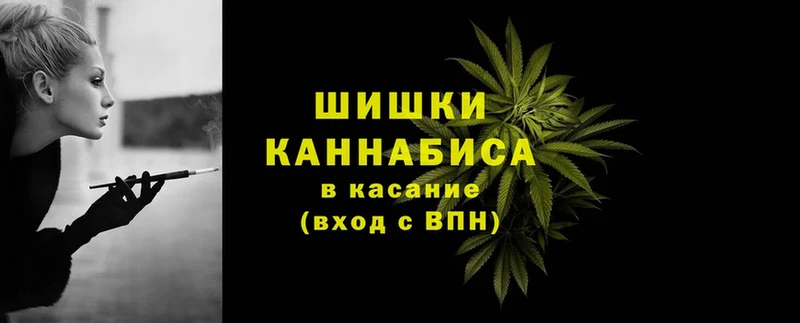 Каннабис OG Kush  Байкальск 